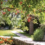 CasaLora | Garden