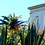 CasaLora | Galerie | Foto 23